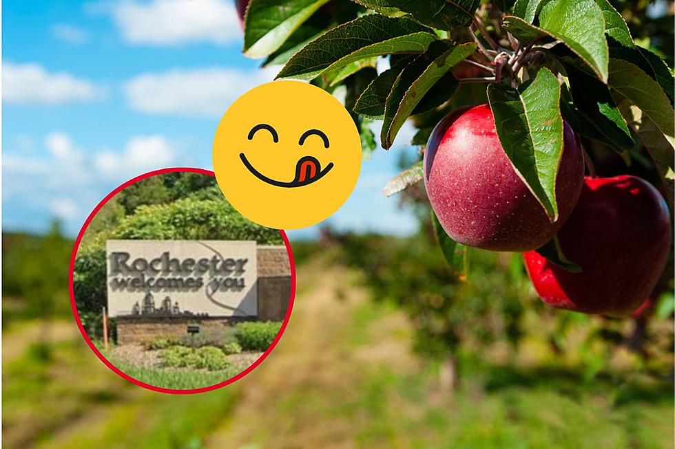 Rochester Apple Orchard has a Delicious New Addition