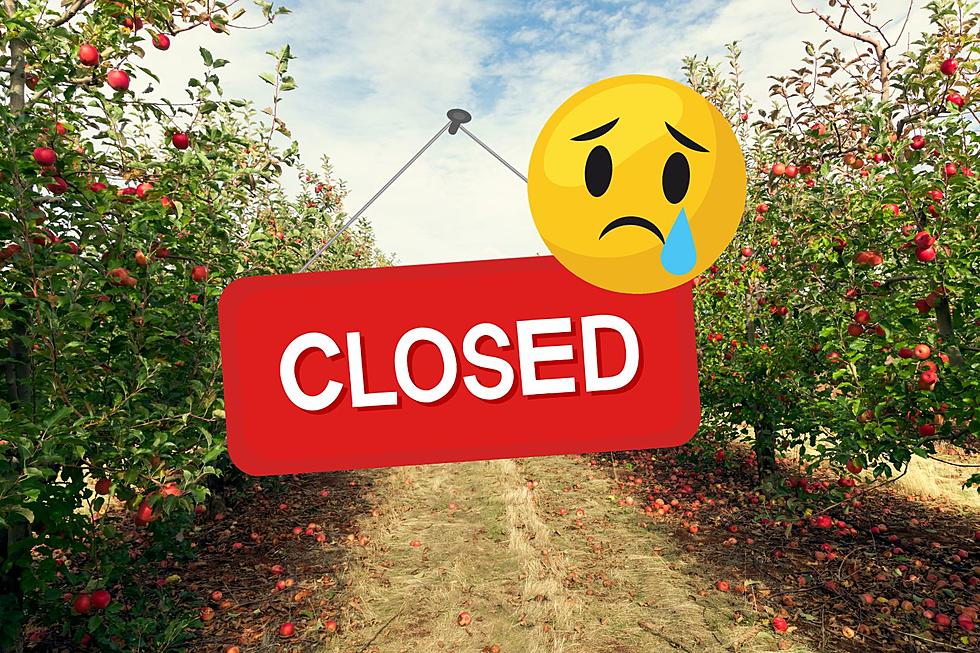 Iconic Minnesota Apple Orchard Suddenly Closes it’s Doors