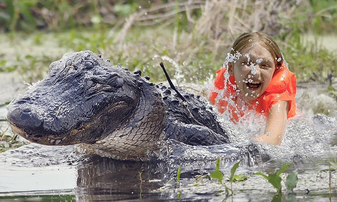 Can You Really Swim With Alligators In This Minnesota Town?