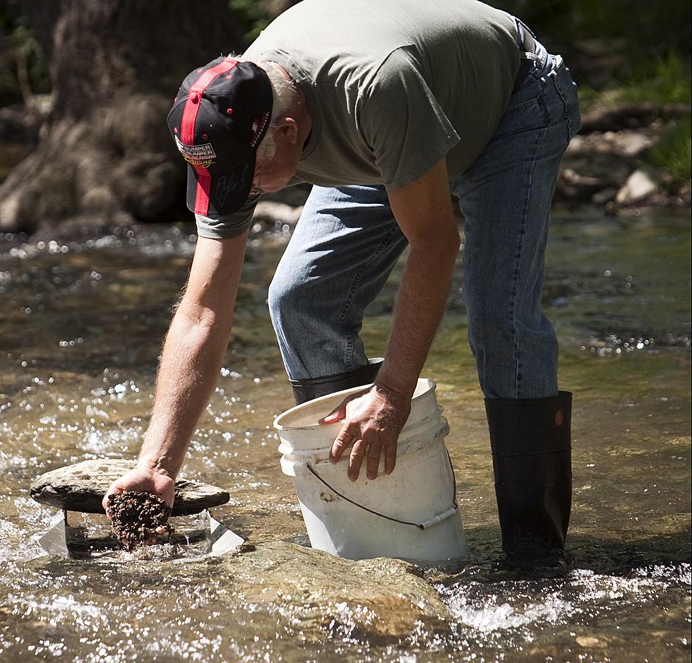 Hidden Treasure: Is There Really Gold to Be Found in Minnesota?