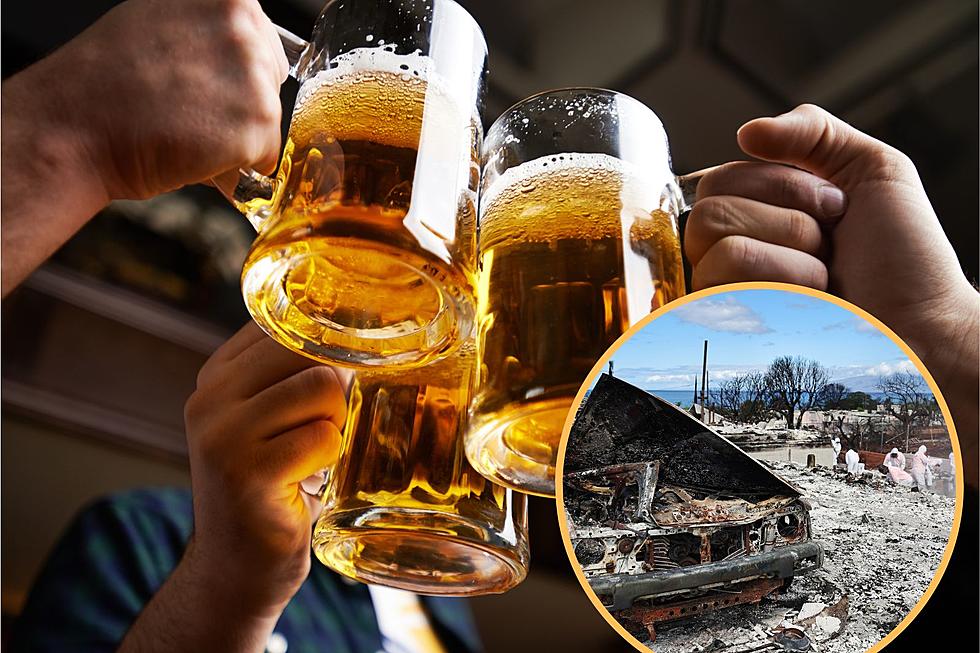 How You Can Help Maui Wildfire Victims at 16 Minnesota Breweries