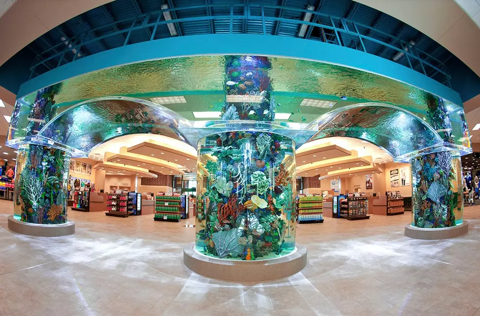 .Scheels Eden Prairie, Facebook