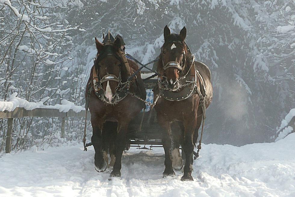 Experience Christmas Magic - Sleigh Rides In Rochester are Back!