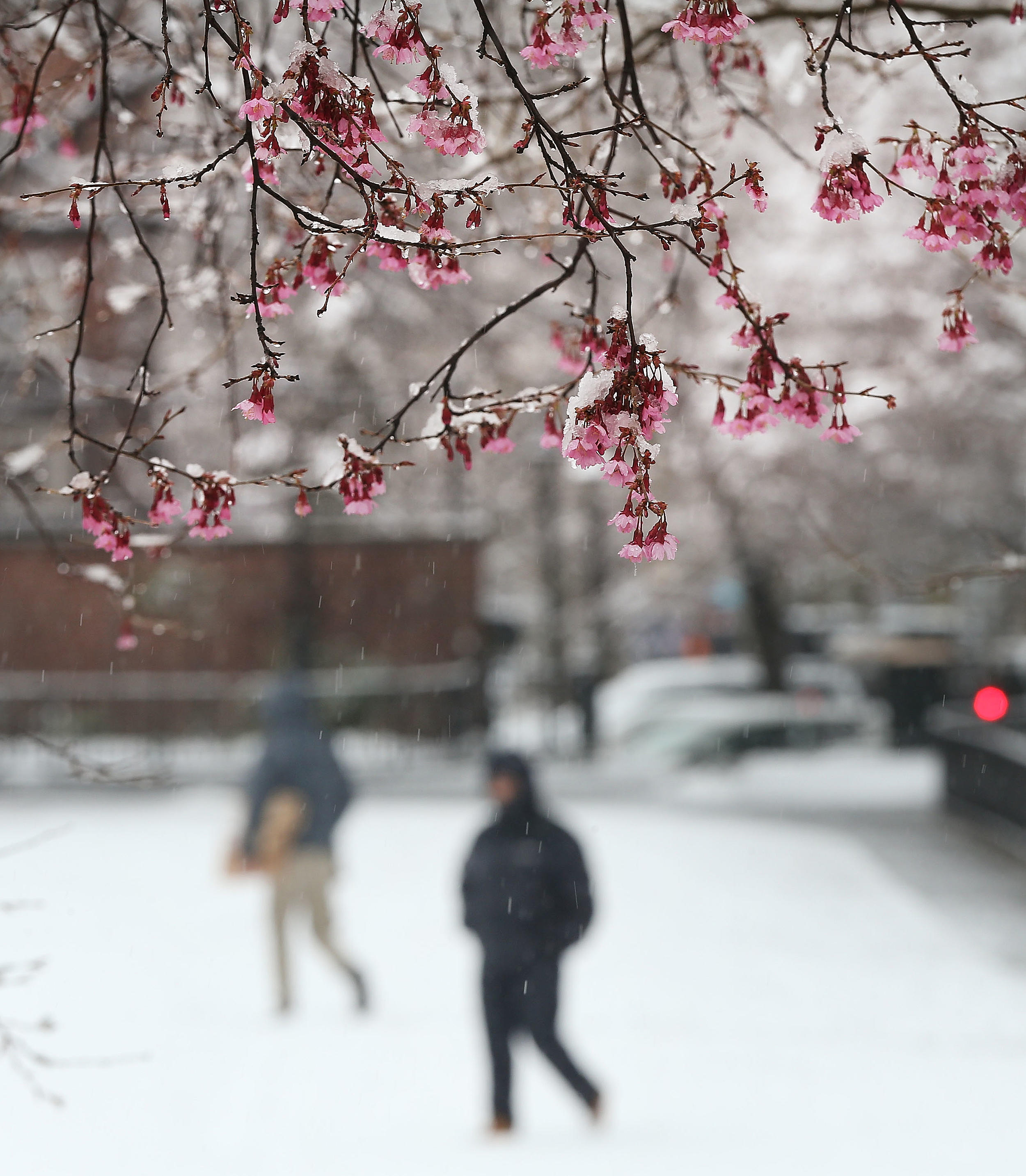 March Could End Up Being Minnesota's Snowiest Month This Winter