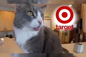 Minnesota ‘Miracle Kitty’ is Now a Model for Target