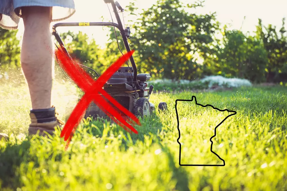 It's Illegal to Mow Your Lawn Outside of These Hours in Minnesota