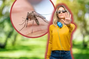 Colors to Avoid Wearing in Minnesota Unless You Love Mosquitos