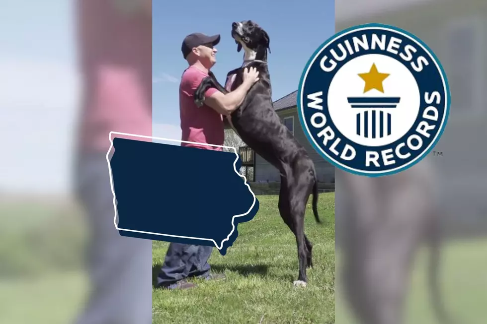 Iowa Dog is the New Title-Holder of &#8216;World&#8217;s Tallest Dog&#8217;