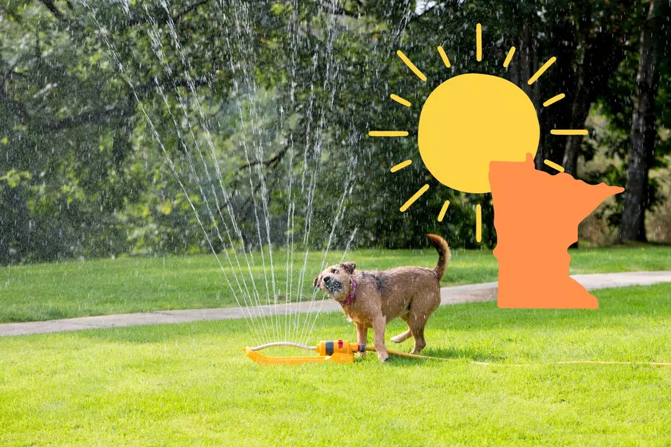 How to Keep Your Dog Safe in Minnesota's Heat this Weekend
