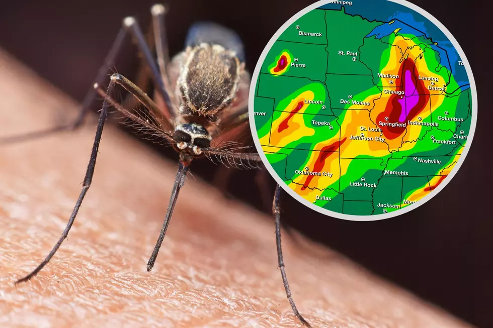 New Tool Doesn’t Predict the Weather in Minnesota, it Predicts Mosquitos