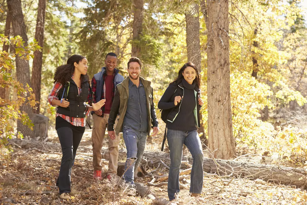 Four happy friends enjoy a hike in a forest