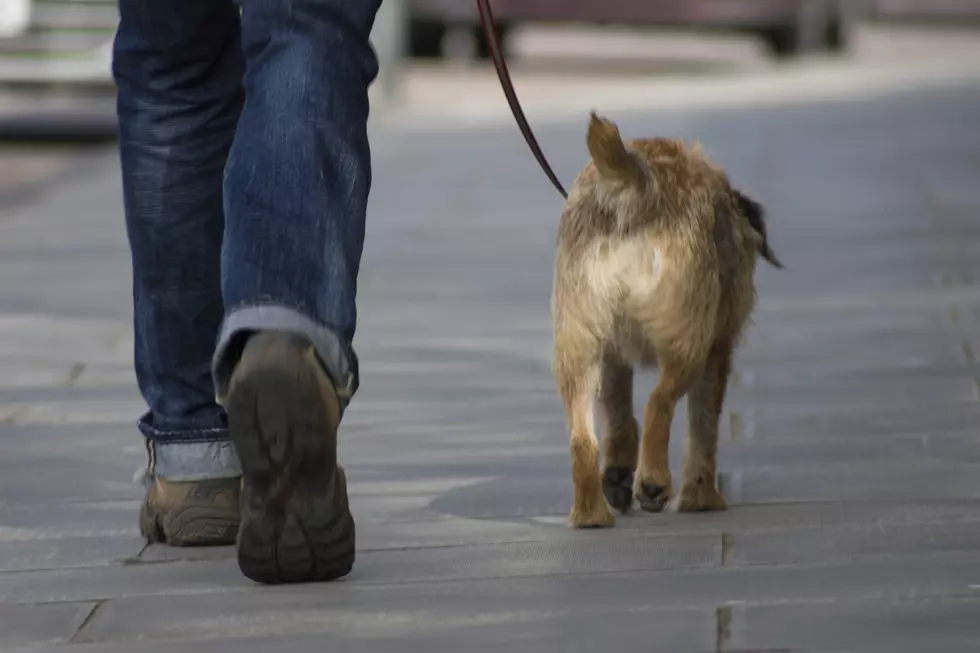 Walking the dog