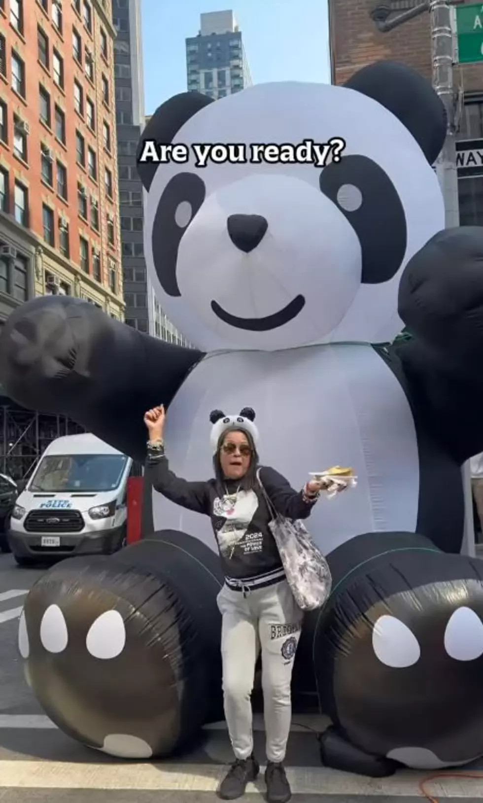 giant blowup panda at panda fest