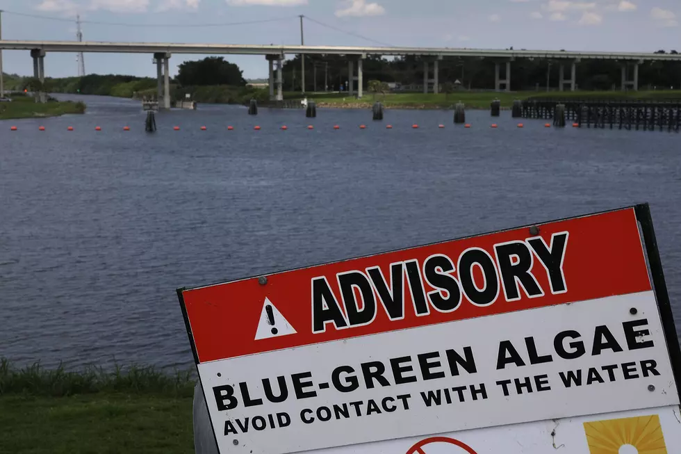 Overflow Of Lake Okeechobee Drained Into Reservoir In Effort Of Keeping Harmful Lake Water From Nearby Estuaries