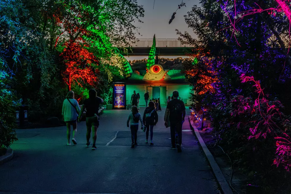 Minnesota Zoo