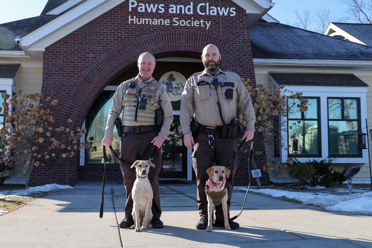 Meet the New Olmsted County K9s from Paws and Claws Meet the New Olmsted County K9s from Paws and Claws