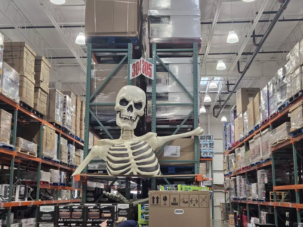 giant skeleton at costco