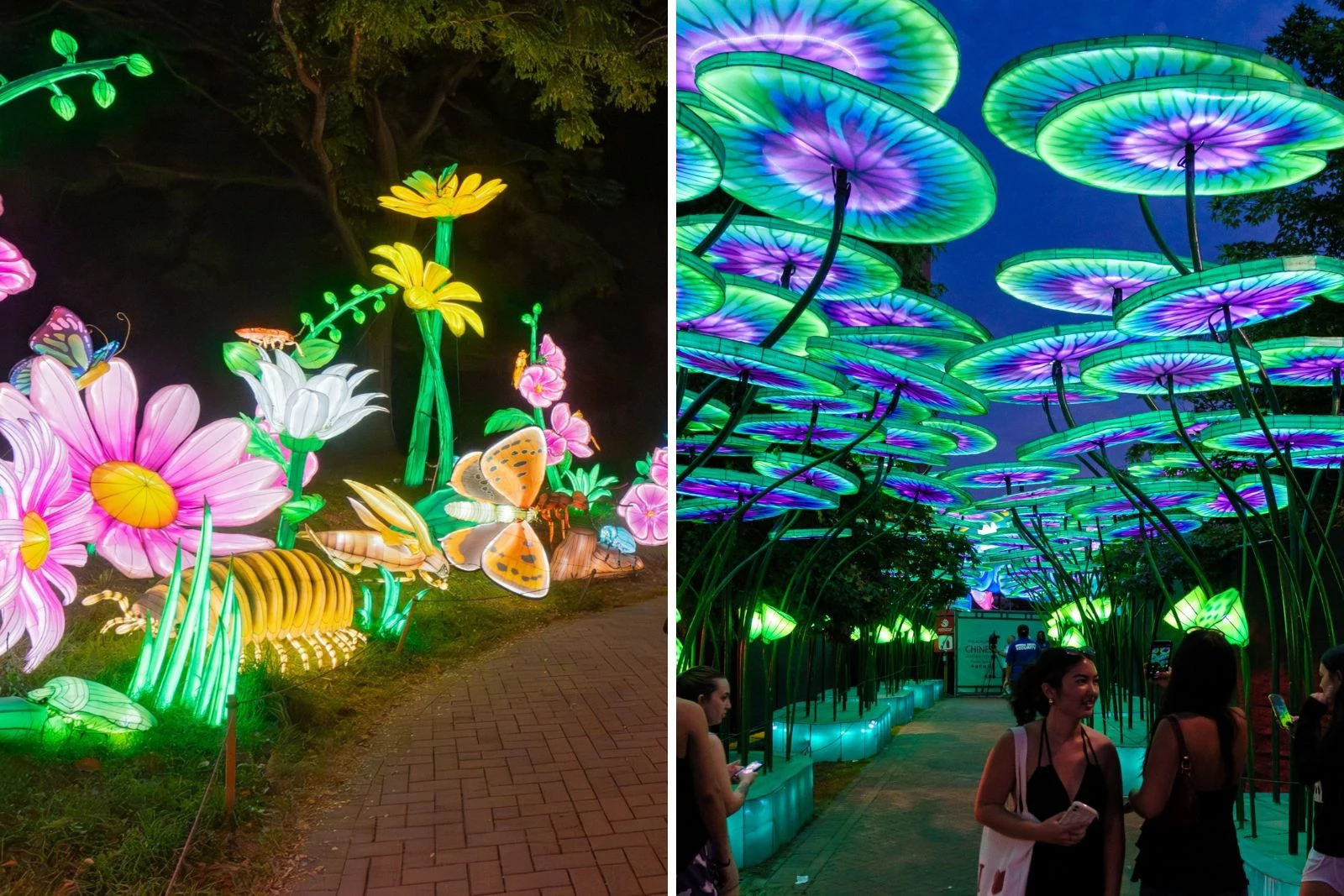 WA OH! 自遊美presents TOPCOAT LIVE 2008 WA… New 'Wanderlight Trail' Lights Up the Minnesota Zoo