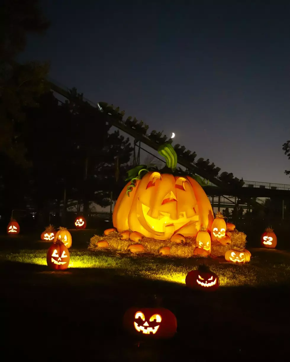 ValleyScare Unveils 5 Haunted Mazes and 4 Scare Zones for the 2026 Season