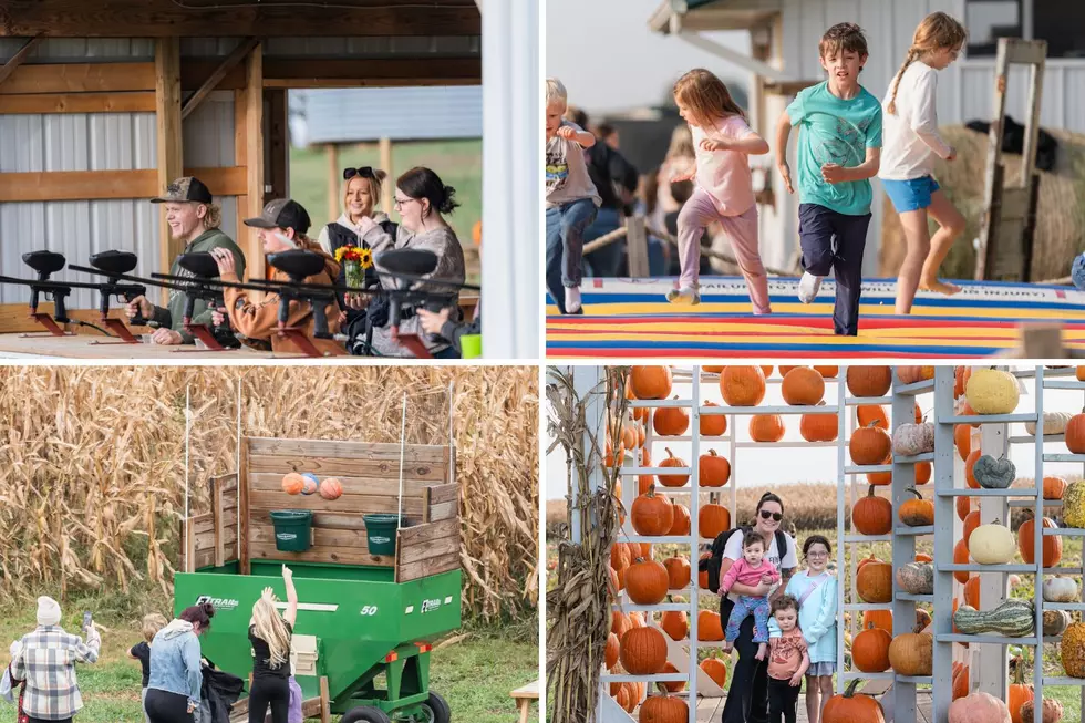 Big Springs Farm fall activities