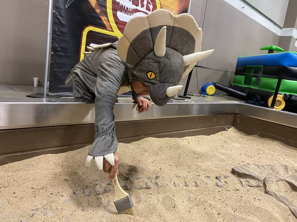 https://dinosauradventure.com/