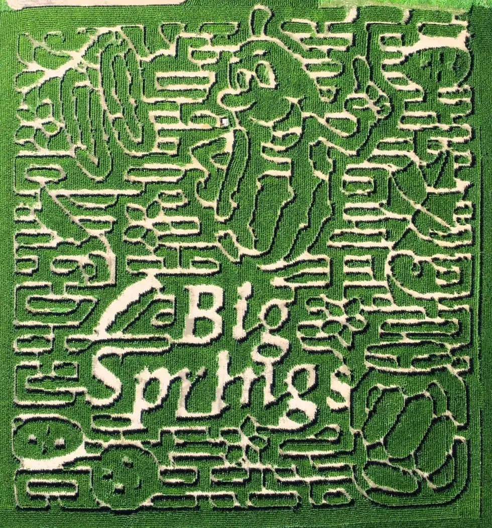 Big Spring Farms Pickle Corn Maze