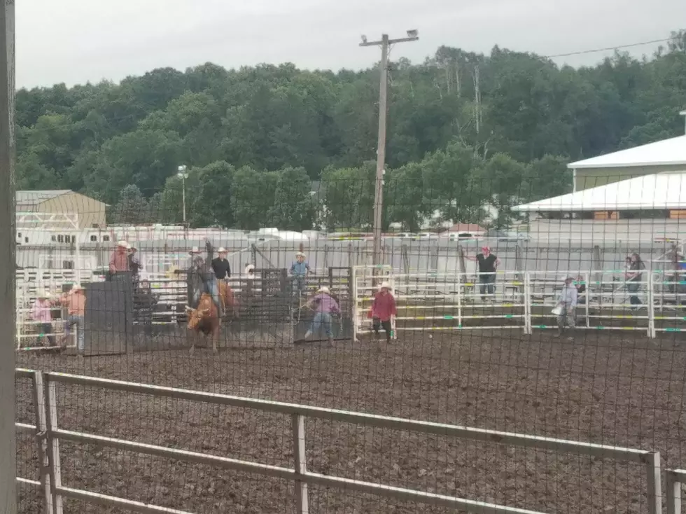 Fillmore County Fair Made For Busy Weekend