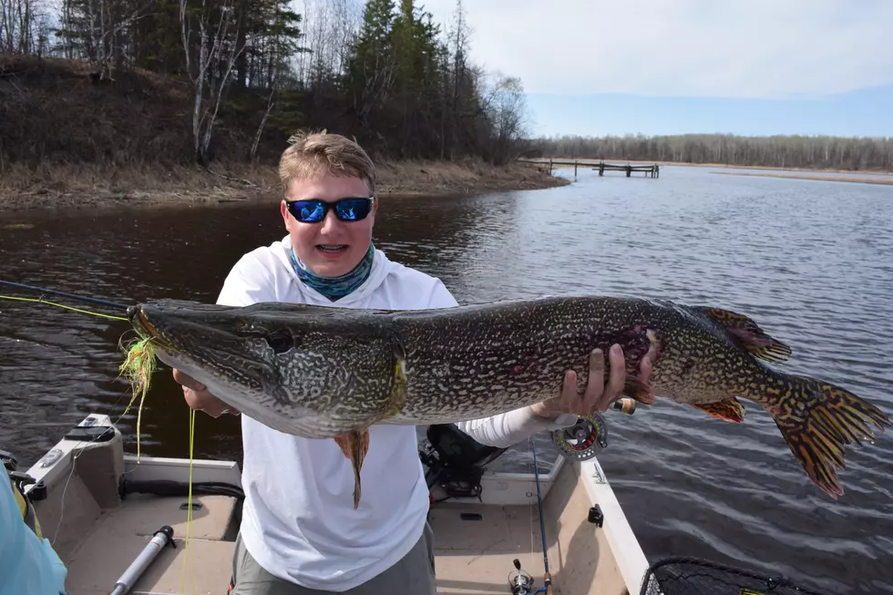 A New Minnesota Record For Northern Pike