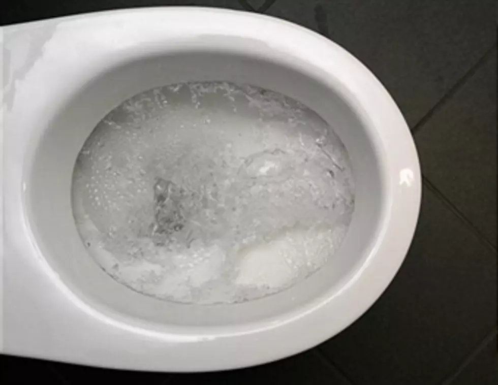 10 Things Germier Than A Toilet Seat