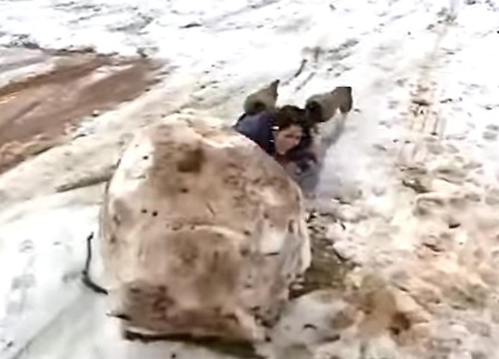 Reporter Slides Face-First into Snowman on Live TV