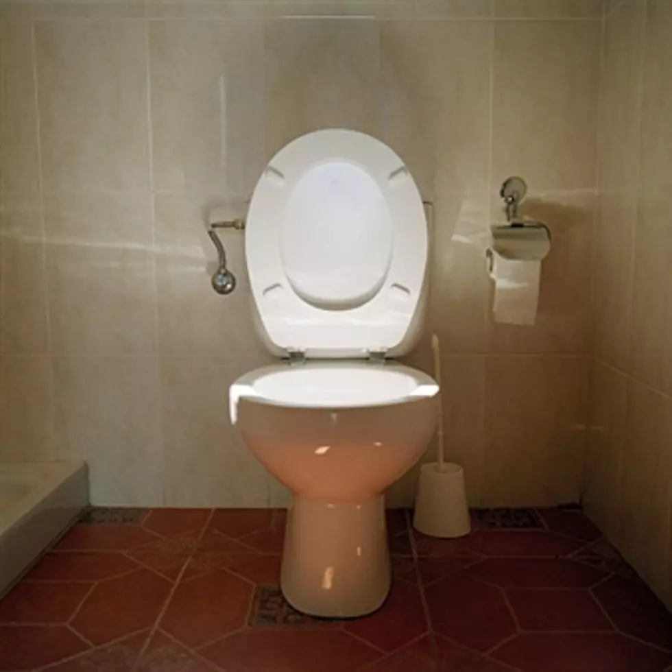 Study- It&#8217;s OK To Leave The Toilet Seat Up!