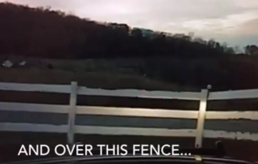 Red Wing Police Officer Has ‘Issue’ With Fence While Chasing Suspect – [Video]