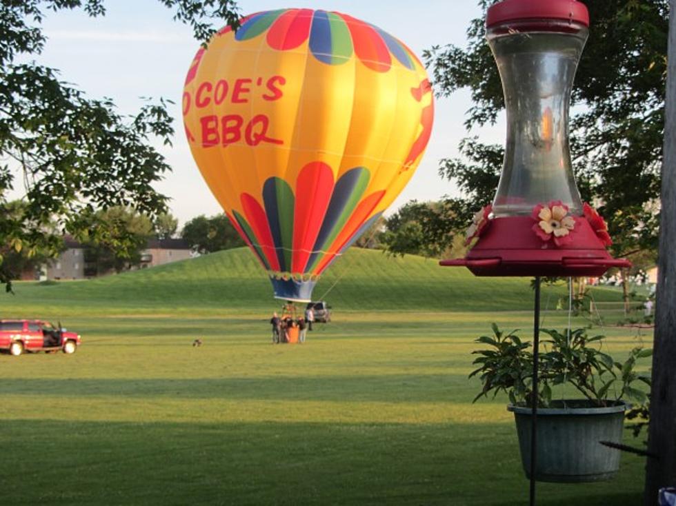 Hey&#8230;there&#8217;s a BALLOON in my backyard! [VIDEO]