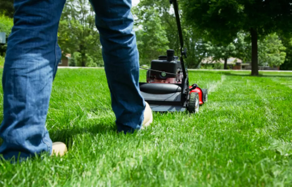 Does Rochester 'Mow The Lawn' or 'Cut The Grass'?
