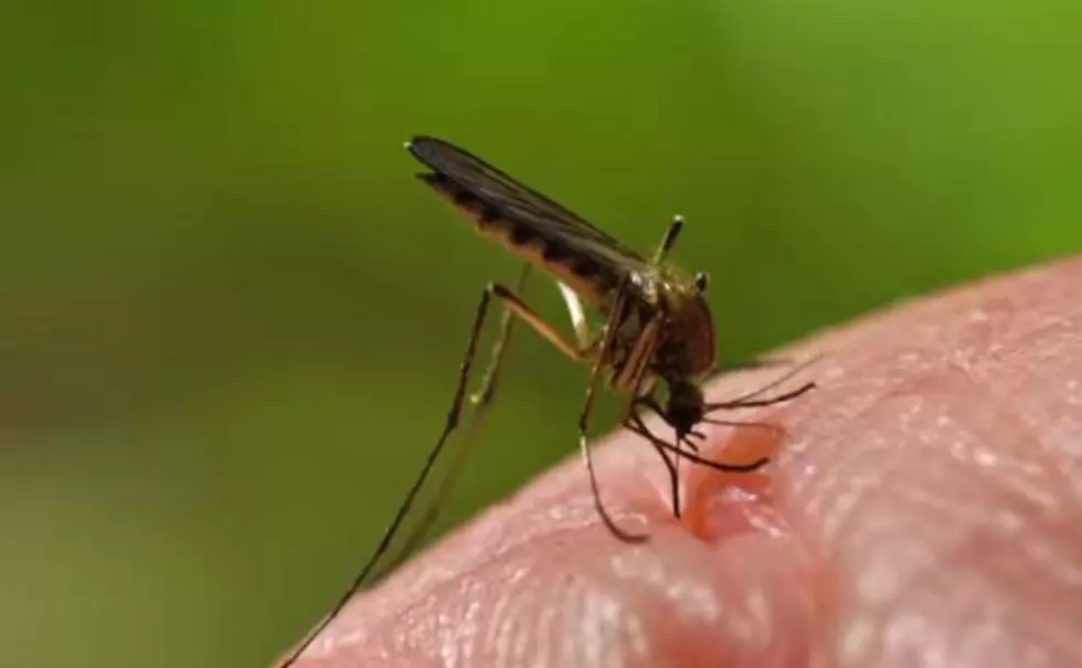 5 Reasons Mosquitoes ‘Like’ You More Than Others