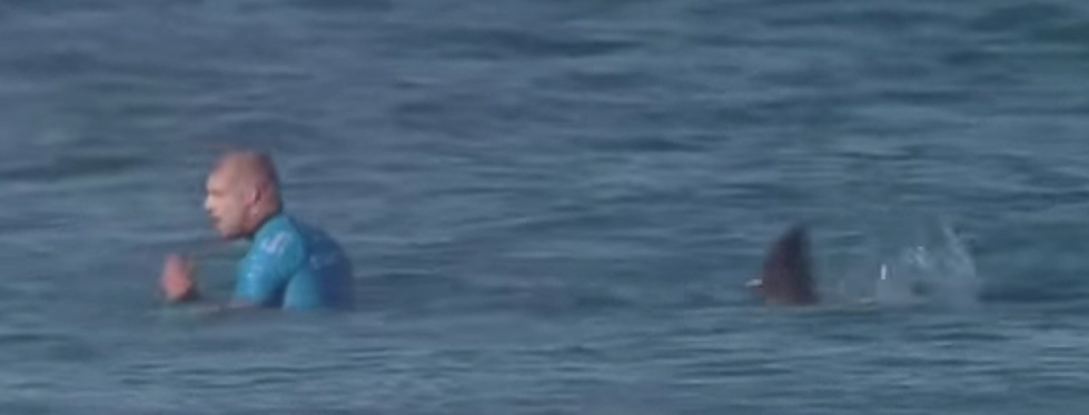 Surfer Gets Attacked By Shark On Live TV- [Video]