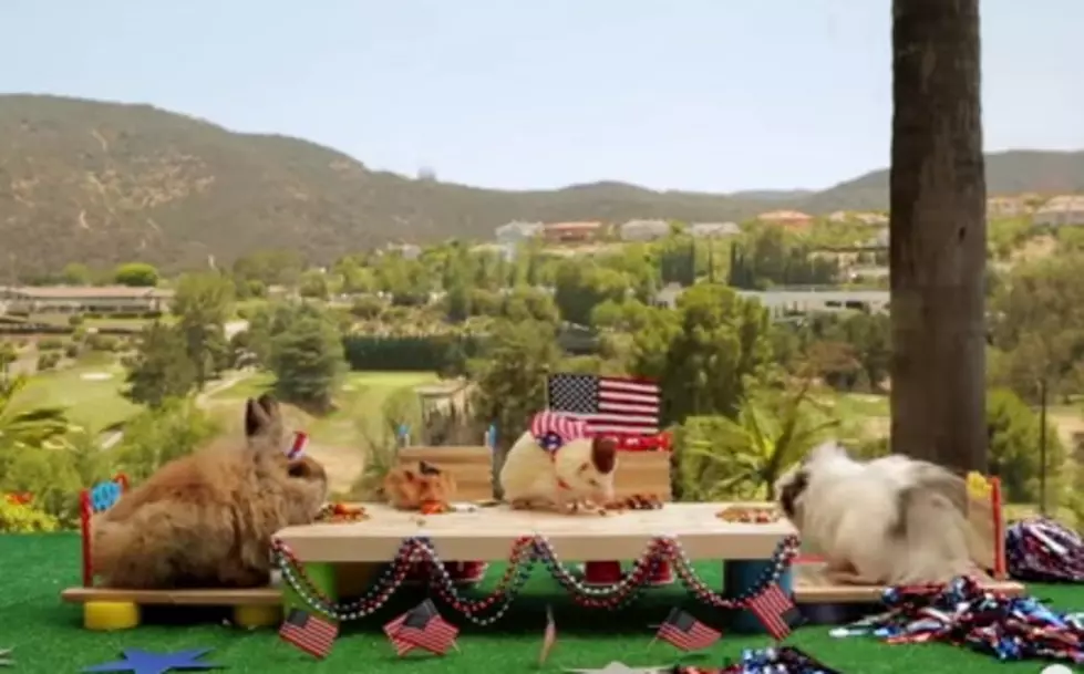 The Cutest 4th of July Video You&#8217;ll See Today