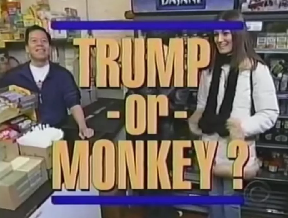 Remember When Dave Played ‘Trump Or Monkey’?