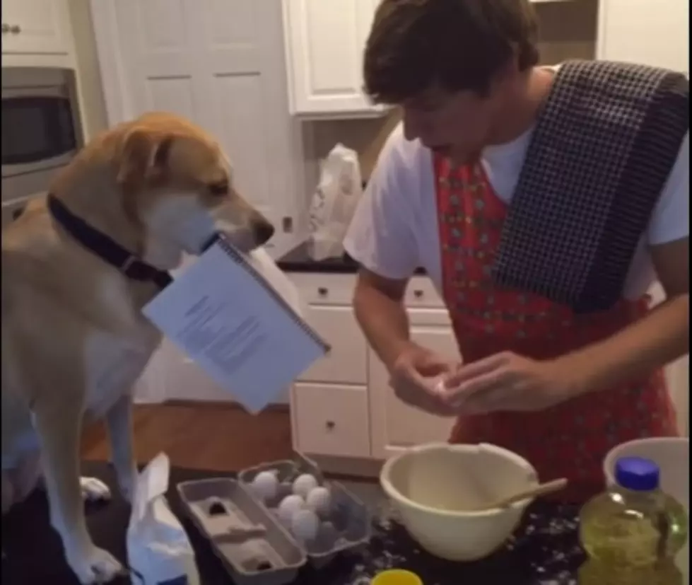 This Video Shows Why Dog Really IS Man&#8217;s Best Friend