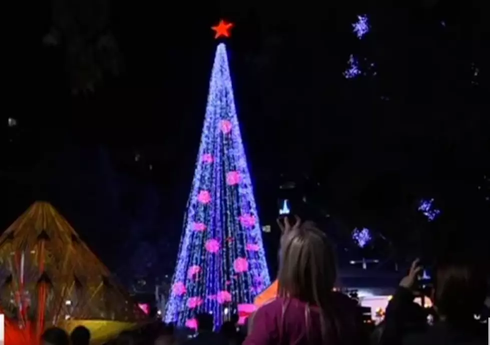 New World Record: Christmas Tree Lights
