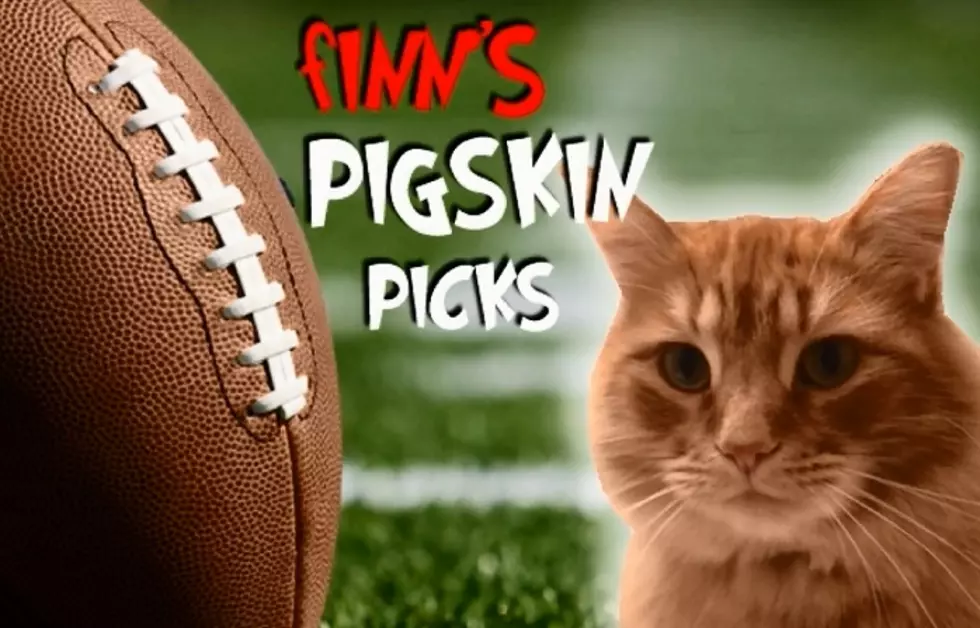 Finn&#8217;s Playoff Pigskin Picks: NFC/AFC Championship Games