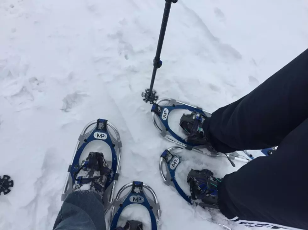 Celebrating Our Minnesota Winter: Inaugural Snowshoe Hike