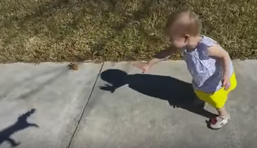 Adorable! Dad Scares Daughter With Hand Shadow [Video]