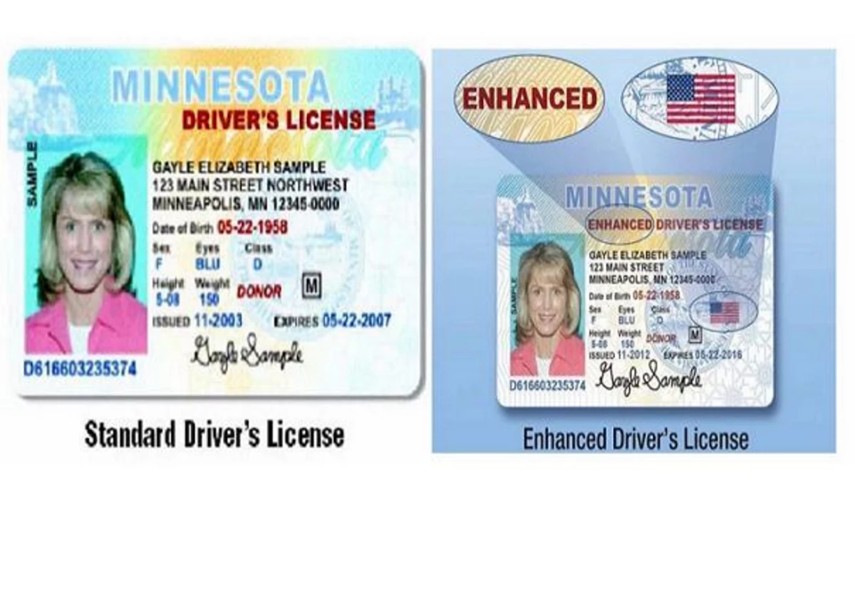 enhanced driver's license mn travel