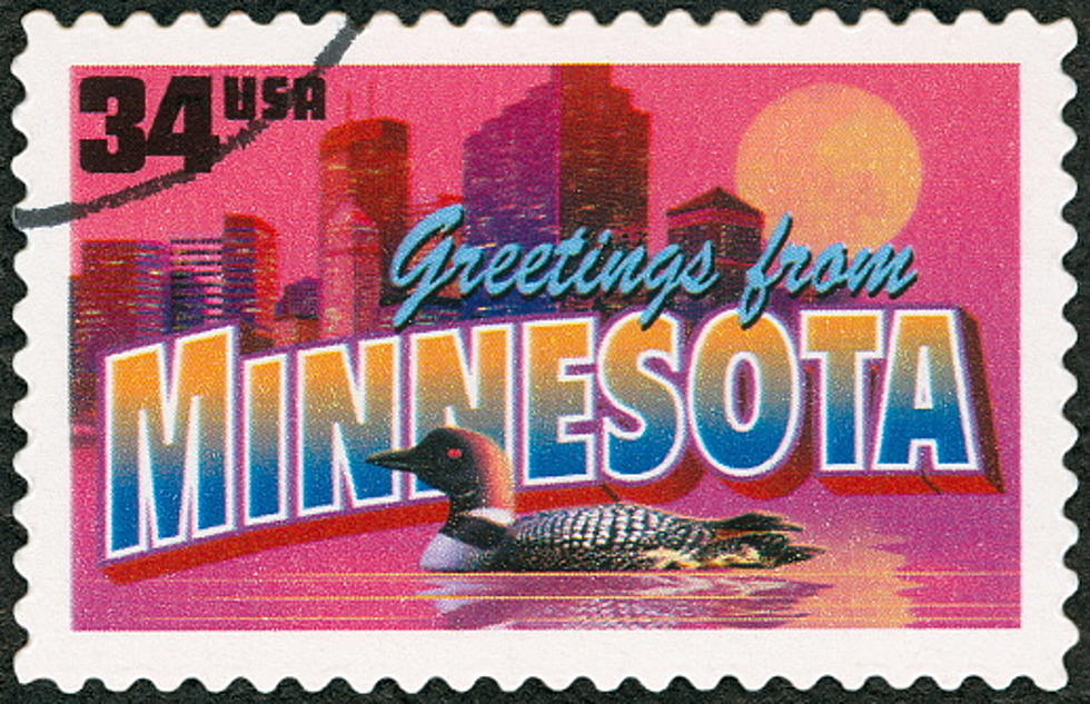 Minnesota Junior Duck Stamp Winners Announced, Including Several Area Winners