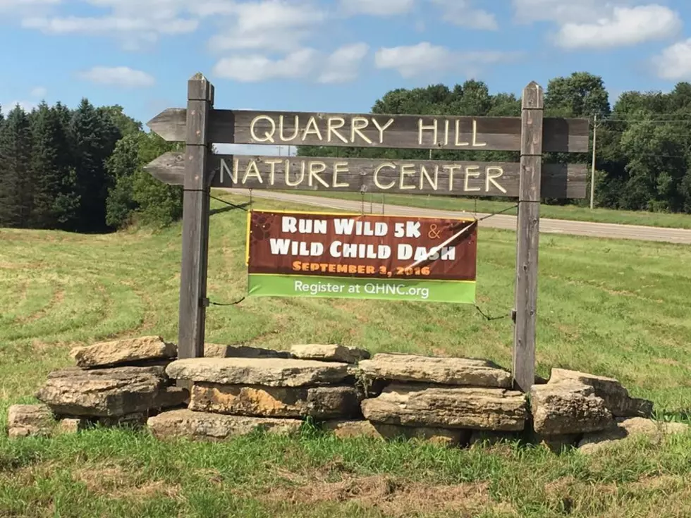 8 Things I Spotted at Quarry Hill Nature Center