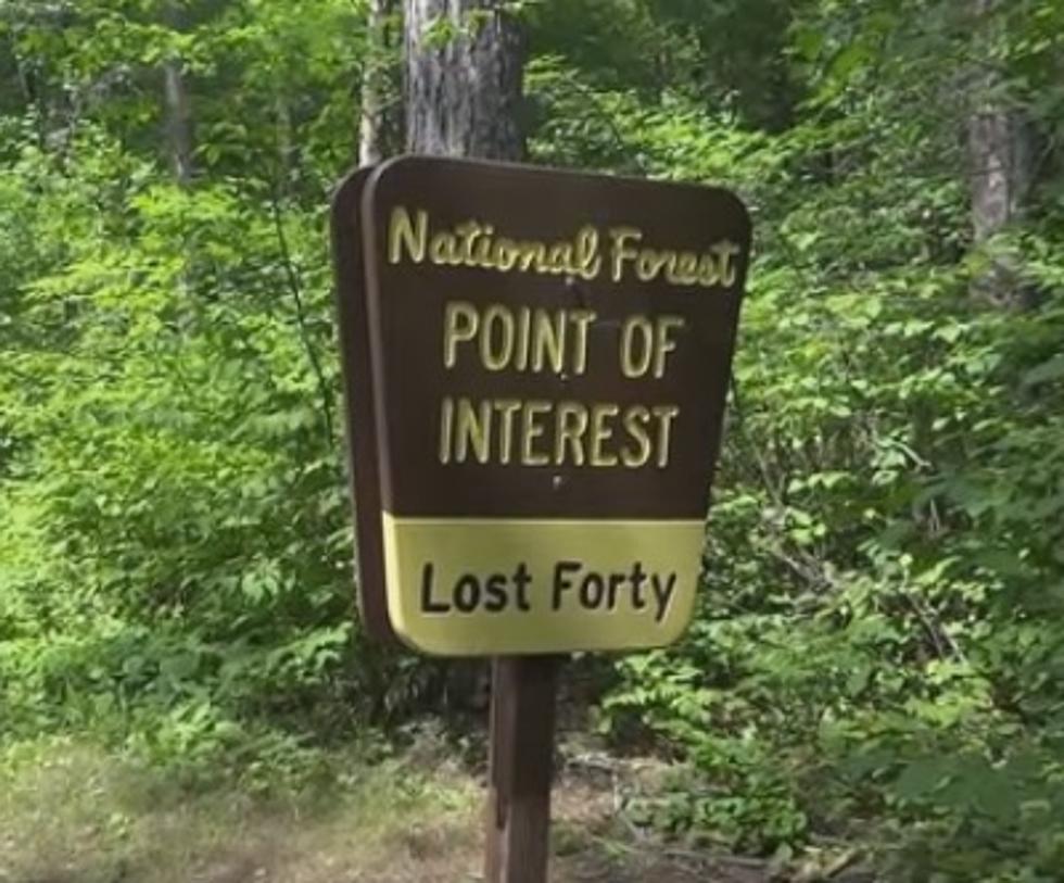 Have You Heard of Minnesota&#8217;s &#8216;Lost 40&#8242; Forest?