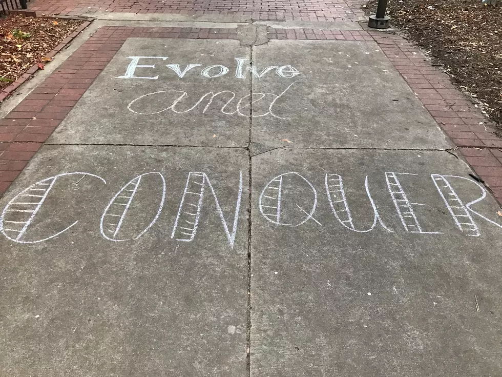 Have You Seen These Sidewalk Messages in Downtown Rochester?