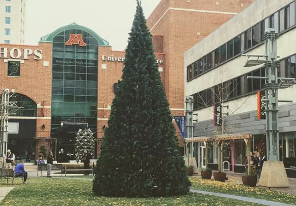It Was Unusually Warm Yesterday, But Rochester Started To Look Like Christmas