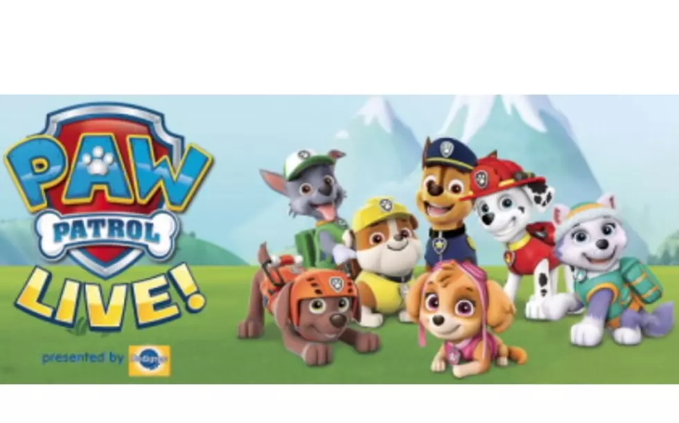 You And Your Kids Can See Paw Patrol Live in Rochester